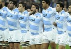 pumas