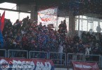 rovigo rugby