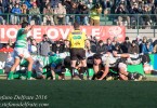 benetton treviso zebre