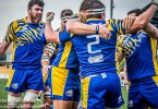 zebre rugby