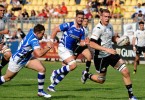 zebre dragons